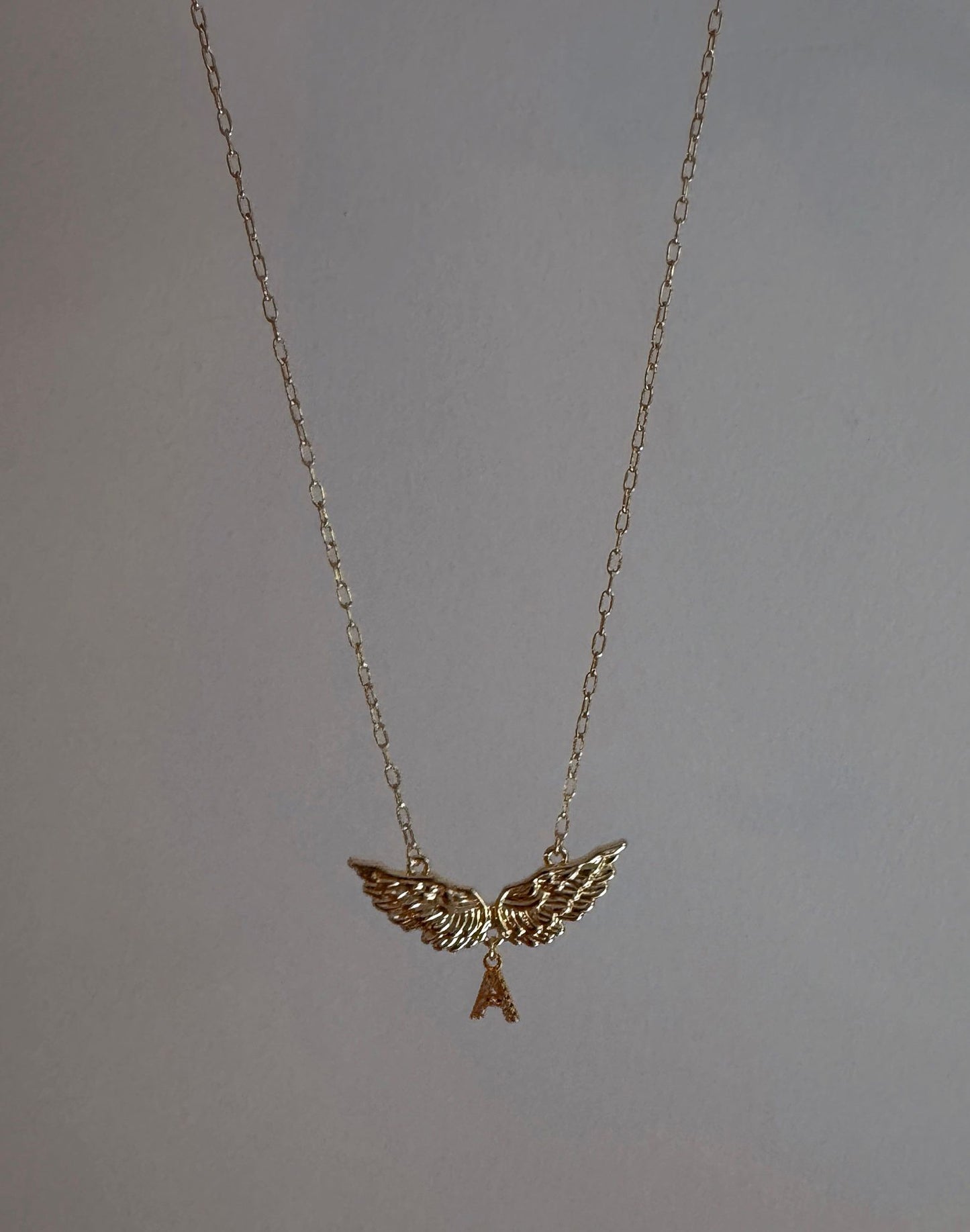 Under Shared Wings Initial Necklace